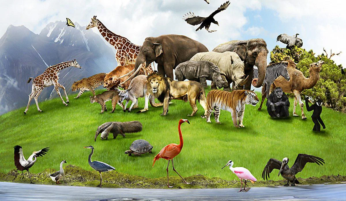care sunt cele mai destepte animale din lume