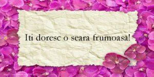 cele mai frumoase cuvinte de apreciere